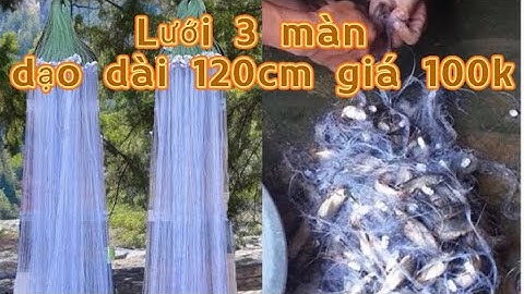 Thử trải nghiệm lưới 3 màn dạo 1 mét 2 với giá 100k cực nhạy cá