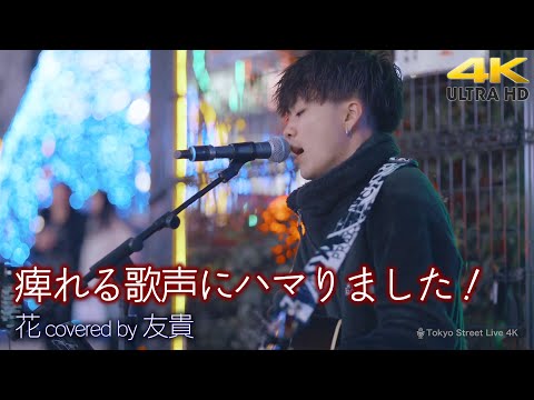 【 歌うま 】痺れる歌声にハマりました！ 花 / 中孝介 （ covered by 友貴 ）🎧推奨 高音質 路上ライブ 4K映像