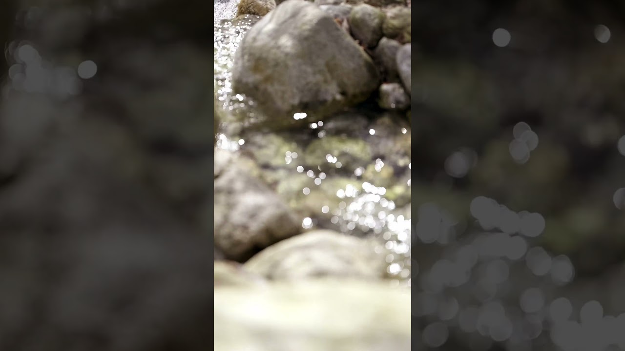 Garden of the World – Fujifilm GFX 100s + GF110 f/2.0 F-Log handheld