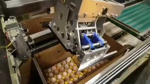 Automatic Pick & Place Case Packer for Eggs Trays