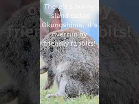 3 Weird Facts