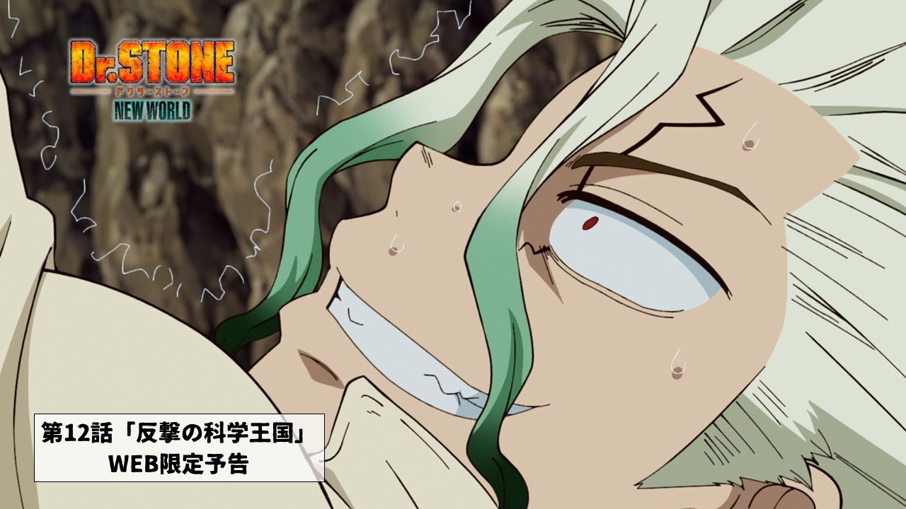 The 2nd Cour Begins in Dr. Stone: New World Episode 12 Preview Images -  Anime Corner