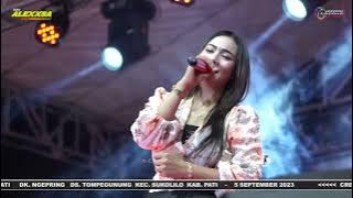 KUPU KUPU // SELLY PRAWOTO // NEW ALEXXSA // WEDDING HENTRI & AMBAR