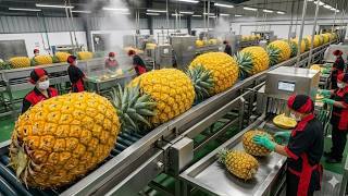 How Companies Make Millions Canning Pineapples 🍍💰 (Inside Mega Factory Process)