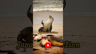 Extinct animals that scientists are trying to bring back to life Part 7 #shorts