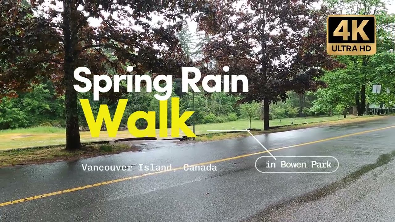 4K Rainy Day Walk in Bowen Park | Calming Vancouver Island Nature Walk with Ducks & Squirrel