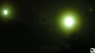 Falco - Transmission