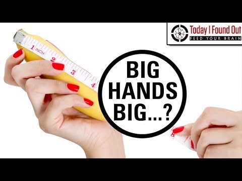 Does Hand and Foot Size Really Correlate with Penile Length?