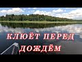 Погода Изменилась Мгновенно! Щука Клюёт Перед и После Дождя!!! Рыбалка на спиннинг CF Optimus!