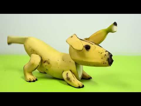 🍌HAPPY PUPPY BANANA DANCING