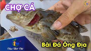 Đi chợ cá trên bãi Đá Ông Địa mùa mưa  🍽 Phan Thiết Phố 🏖