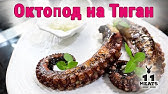 Грилован октопод със запечена цикория | Давид Скоко | 24Kitchen Bulgaria -  YouTube