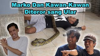 Marko dan Kawan-Kawan Diteror Sang Ular