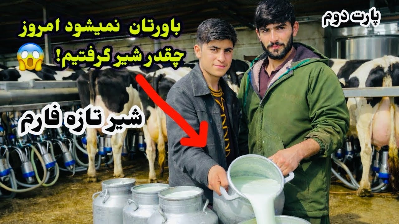 دستگاه های مدرن شیر دوشی! آیا میدانید چقدر شیر🥛به دست آوردیم