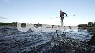 OCEAN – Hooked on salmon: EU-backed efforts to protect Sweden's threatened wild species