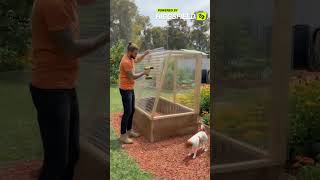 I Built a DIY Compact Greenhouse for My Plants 🌿✨