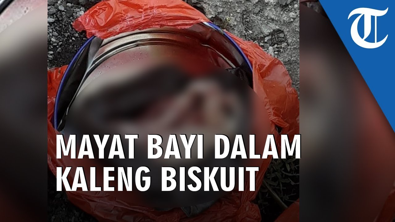 Mayat Bayi Ditemukan Dalam Kaleng Biskuit, Ari-ari Tertinggal dan Dihinggapi Lalat yogyakarta to jakarta train