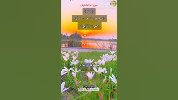 معنى كلمة (زرابي)٢٨١-شرح مفردات غريب القرآن/سورة الغاشية/ الشيخ خالد الحرمي.