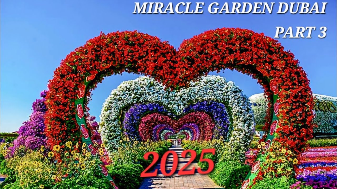 DUBAI🇦🇪 AMAZING MIRACLE GARDEN,NEW SEASON 2025 PART 3 
