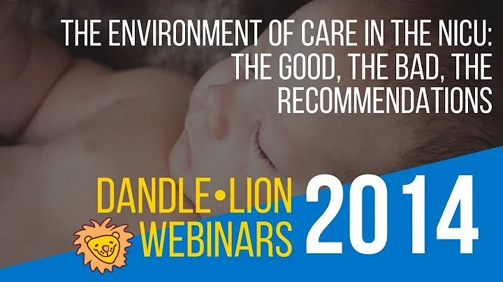 The Environment of Care in the NICU: The Good, The Bad, The Recommendations