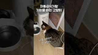 내 밥은 내가 지킨다