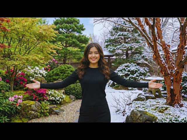 Japanese Garden Landscaping for Cold Climates: What to Plant