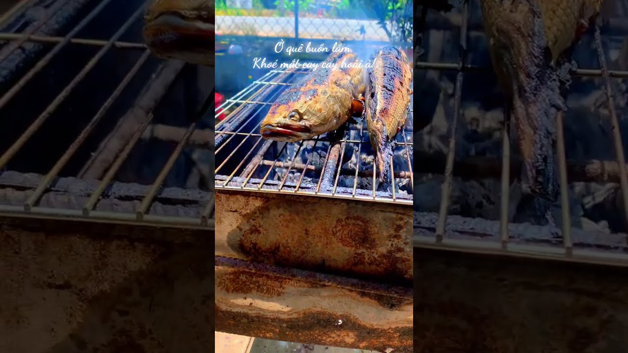 Ở quê buồn lắm, khoé mắt cay cay hoài hà!