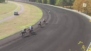 Vidéo de la course PMU PRIX DE BAGNERES