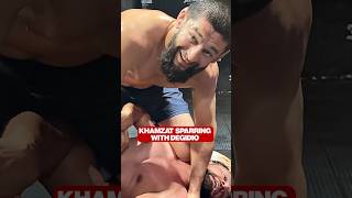 KHAMZAT CHIMAEV SPARRING BEAR DEGIDIO! 😱🥊
