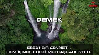 Nihayetsiz bir cûd u sehavet, ebedî bir cenneti ve içinde ebedî muhtaçları ister!