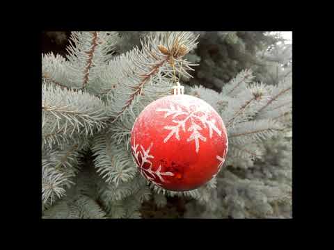 გილოცავთ ახალ 2021 წელს ! ! !