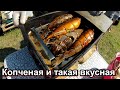 Скумбрия горячего копчения. Очень вкусно.. Как коптить скумбрию.