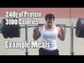240g of Protein with 3100 Calories - Example Meals and Tips