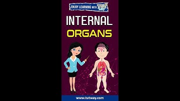 Internal Organs | Human body Internal Organs | Internal Organ #internalorgan #science #organ