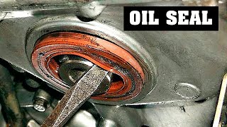 How to Remove any Oil Seal the Easiest Way