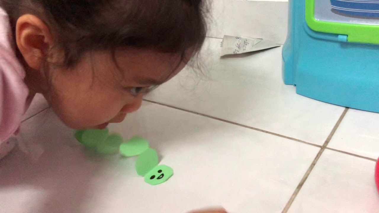 Guarda She let the paper caterpillar move forward su YouTube Guarda She let the paper caterpillar move forward su YouTube