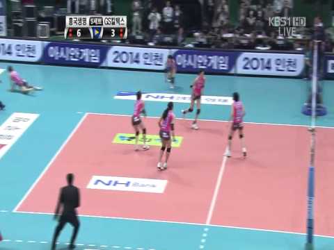 2009 Korea Volleyball Championship Final - HeungKu...