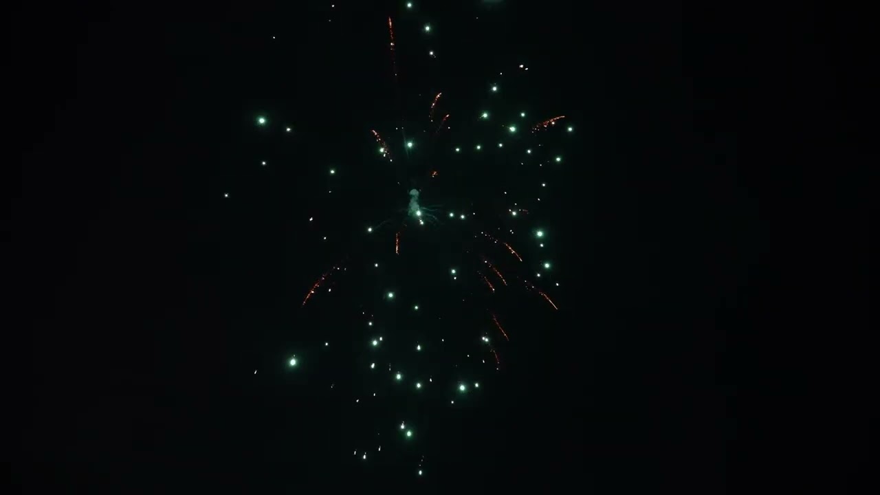 Single Shot Sortiment 2