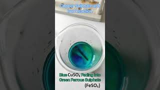 Copper Sulphate and Iron Reaction| displacement reaction screenshot 5