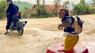 Monkey YuYu was angry and wanted to go to the market with Mom!