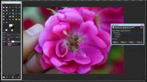 Gimp tutorial-Selective Coloring