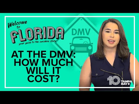 How much will you spend at the Florida DMV?
