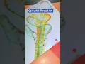 Colourful Thread Art | Thread  painting ideas #shorts #ytshorts