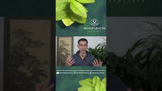 Understanding Pain vs. Suffering: A Mindfulness Perspective with Oren Jay Sofer