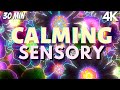 Autism Calming Music Neon Soothing Falling Flowers Meltdown Remedy