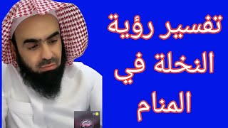 النخل في المنام كما جاء في كتاب ابن سيرين لتفسير الأحلام