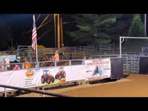 Sara Walker Bareback barrel racing,winning the 1D at AAA arena