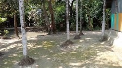 কাদরীয়া তরিকার ভক্তশ্রাম