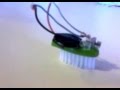 Baratinha Eletrica