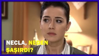 Necla Neden Şaşırdı? - Yaprak Dökümü 99Bölüm